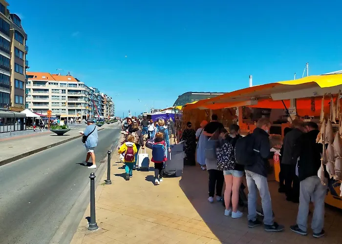 Awesome In With Wifi 公寓 奥斯滕德